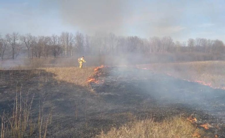 Егеря потушили пожар в Навашинском заказнике
