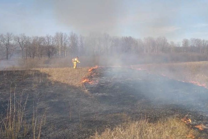 Егеря потушили пожар в Навашинском заказнике