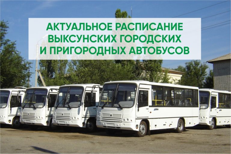 Актуальное расписание выксунских городских и пригородных автобусов